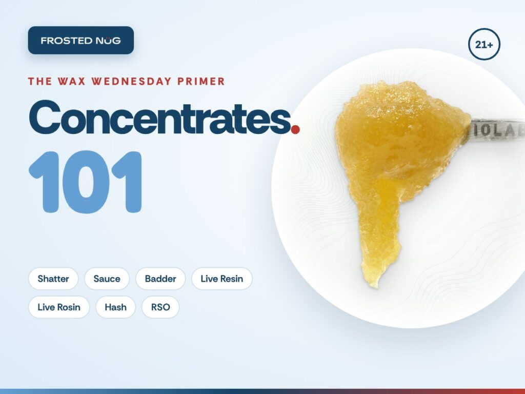 Concentrates 101 cover with golden live resin sauce on a plate and labels for shatter, sauce, badder, live resin, live rosin, hash and RSO
